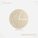 Liand Villus - Disco Groove