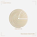 Liand Villus - Disco Groove ()