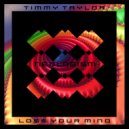 Timmy Taylor - Lose Your Mind