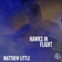 Matthew Little - Hawks In Flight