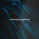 Spaceouters & Cultrow - Contraversive Feelings (Original Mix)