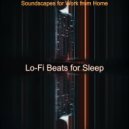 Lo-fi Beats for Sleep - Soundscapes for Work from Home