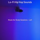 Lo-Fi Hip Hop Sounds - Music for Study Sessions - Lofi