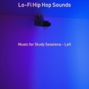 Lo-Fi Hip Hop Sounds - Bubbly Atmosphere for Sleeping ()