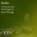 Sineko - Dont Forget Us (Original Mix)