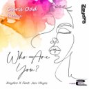 Zaydro feat. Jess Hayes - Who Are You