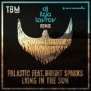 Palastic feat. Bright Sparks - Lying In the Sun