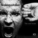 Trokopotaka - The roof went
