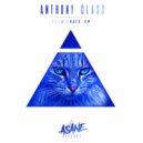 Anthony Class - The Last Music (Original Mix)