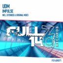 UDM - Impulse (Original Mix)
