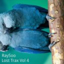 RaySoo - Perhentian Blues