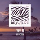 Hippocoon - SurfPhase