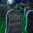 Heirz & Beyond Repair - Sally