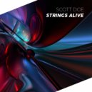 Scott Doe - Strings Alive