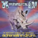 Adrenalinn Drum - The Electric Sleep
