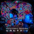 MantriX - Sensory Dream