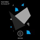 David Sellers - No Gravity