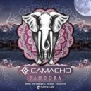 Henrique Camacho, Vibration - Ragga-Tech