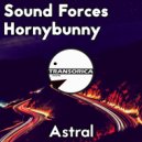 Sound Forces & Hornybunny - Astral