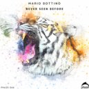 Mario Bottino - What Is Mine (Original Mix)