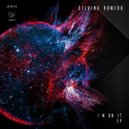 Silvina Romero - Looking For Power (Original Mix)