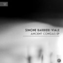 Simone Barbieri Viale - Elevation