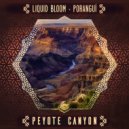 Liquid Bloom, Poranguí - Peyote Canyon