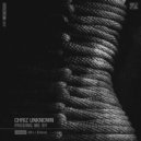 Chriz Unknown - Passing Me By (AX1 Remix 2)