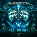 Subsidiary - Why