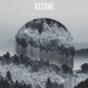 Cosmin Horatiu - Assume It