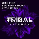 DJ Blackstone, Sean Finn Feat. Liz - Cry A Little