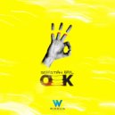 Sebastian Bayl - Ok