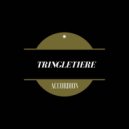 Tringletière - Intro Accordeux