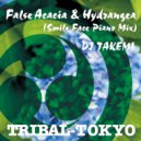 DJ Takemi - False Acacia & Hydrangea