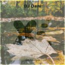 DJ Dani - Drops (Radio Mix)
