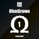 Dub Phizix - The Waterboy (Original Mix)