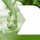 Carl Daylim feat. T\'eira - Hand In Hand (Original Mix)