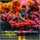 DJ Myngo Pres. Vibrate Soul - Human Vibe