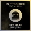 In It Together, Alimish - Hey Mr DJ