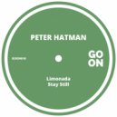 Peter Hatman - Stay Still