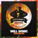 Will Sonic - Roze