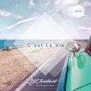 DJ Aristocrat - C'est La Vie