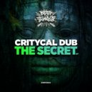 Critycal Dub - Full Contact