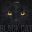 Can Ergun - Black Cat (Original Mix)