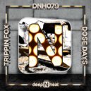 Trippin Fox - Want Da (Original Mix)