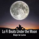 Olivero Beats & Chillhop Music & LoFi B.T.S - Under the only light