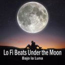 Olivero Beats & Chillhop Music & LoFi B.T.S - Under the only light (Original Mix)