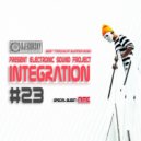 DJ Egorsky (Electronic Sound) - Integration#23 (2020August) (Mixed)