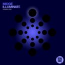 Midge - Illuminate