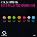 Ashley Bradbury - Rise & Fall Of The Bea Machine